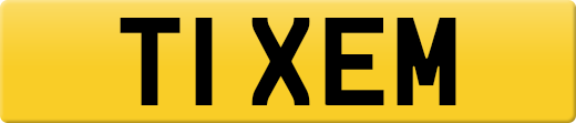 T1XEM