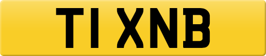 T1XNB