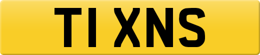 T1XNS
