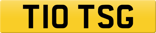 T10TSG