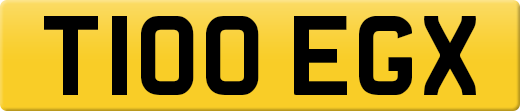T100EGX