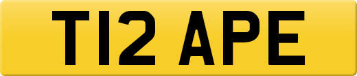 T12APE