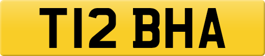 T12BHA