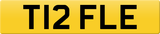 T12FLE