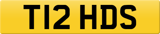T12HDS