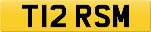 T12RSM