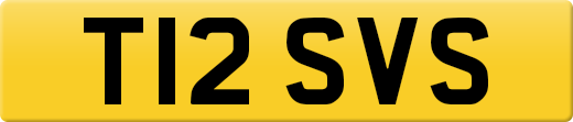 T12SVS