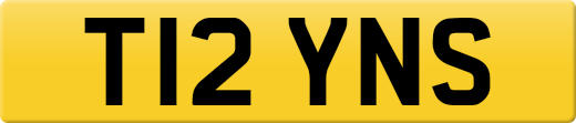 T12YNS