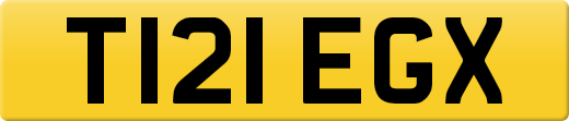 T121EGX