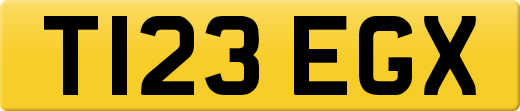T123EGX