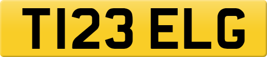 T123ELG