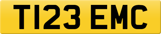 T123EMC