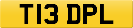 T13DPL