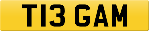 T13GAM