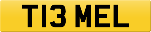 T13MEL