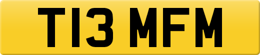 T13MFM