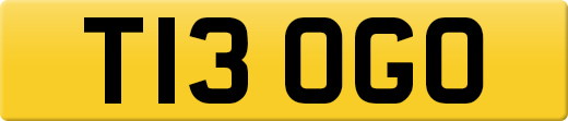 T13OGO