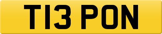 T13PON