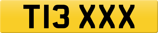 T13XXX
