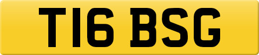 T16BSG