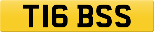 T16BSS