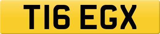 T16EGX