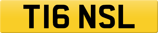 T16NSL