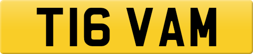 T16VAM