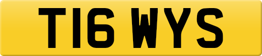 T16WYS