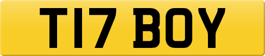T17BOY