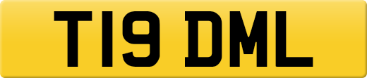 T19DML