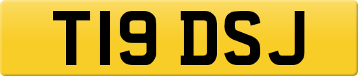 T19DSJ