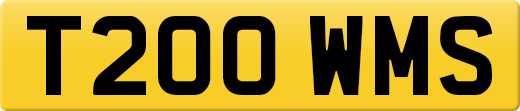 T200WMS