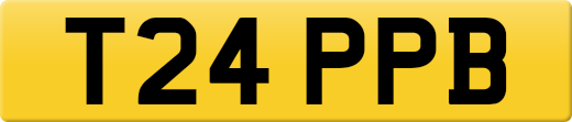 T24PPB