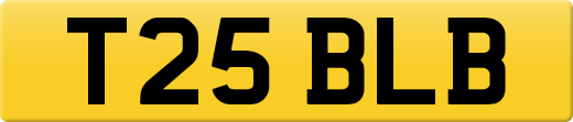 T25BLB