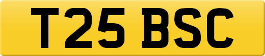 T25BSC