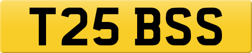 T25BSS