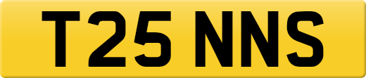 T25NNS