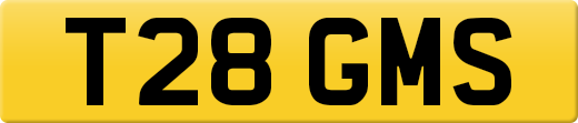 T28GMS
