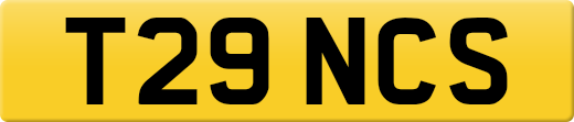 T29NCS