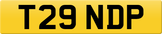 T29NDP