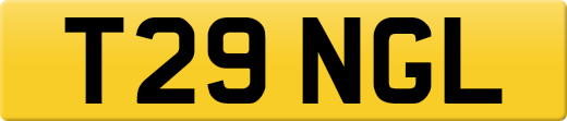 T29NGL