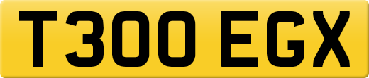 T300EGX