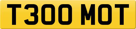T300MOT