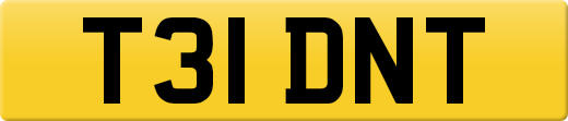 T31DNT