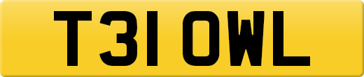 T31OWL