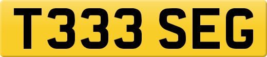 T333SEG