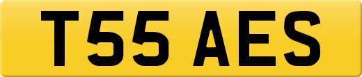 T55AES