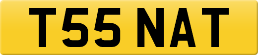 T55NAT