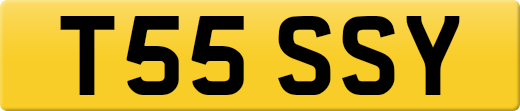 T55SSY